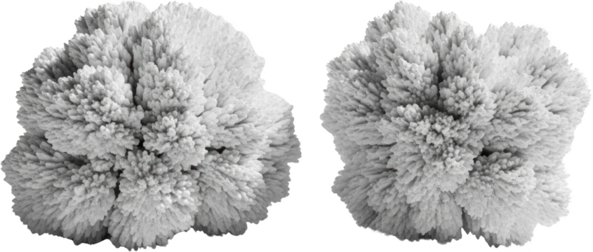 Two Detailed Crystal Structures White Crystalline Formations Isolated Transparent Background Transparent Background