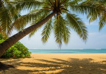 Obraz premium virginia summer beach plam trees tropical sea and ocean paradaise sunshine for vacations relaxation palm tree
