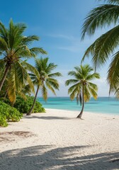 Tropical paradise beach with palm trees, turquoise ocean, and sunny sky perfect for a summer vacation, turquoise ocean, and sunny sky perfect for a summer vacation