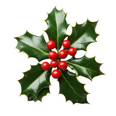 A close up view of a vibrant green holly sprig with several bright red berries isolated on transparent background