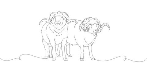 Continuous One Line Drawing of Two Horned Rams Standing Together eps 2