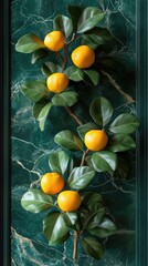 Fruits, branches, leaves on dark background