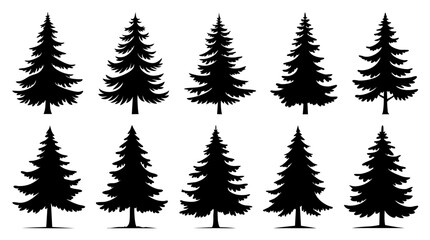 Fototapeta premium Conifer Trees with Drooping Lower Branches in Alpine Evergreen Style, Black Silhouette Collection, Vector Illustrations of Forest Trees for Nature, Wilderness, and Landscape Design Projects