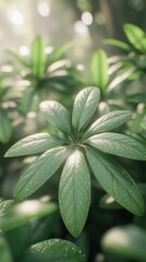 Lush green leaves in a sunlit forest