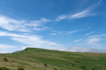 Obraz premium 爽やかな朝の高原 霧ヶ峰