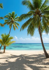 Tropical paradise beach with palm trees, turquoise ocean, and sunny sky perfect for a summer vacation, turquoise ocean, and sunny sky perfect for a summer vacation