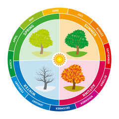 Annual cycle. A circular chart depicts the four seasons, each represented by a tree showing changes in foliage. Months arranged around outer edge, indicating transitions from spring through winter.