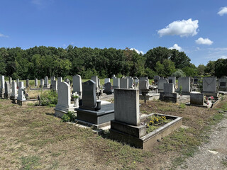 Old tombstones in the public cemetery