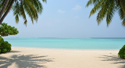 Tropical paradise beach with palm trees, turquoise ocean, and sunny sky perfect for a summer vacation, turquoise ocean, and sunny sky perfect for a summer vacation
