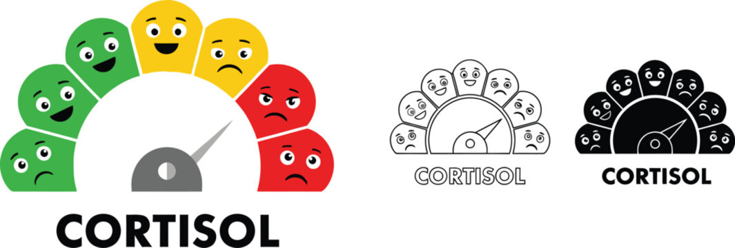 Understanding cortisol levels and stress a visual guide to managing your cortisol with emotional faces