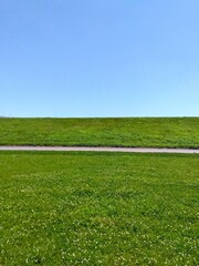 初夏のシロツメクサ咲く江戸川河川敷の草原と土手風景