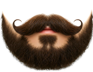 Close up of a man s brown beard and mustache with curled ends