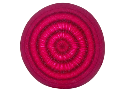 Slice of red beet with concentric rings isolated on transparent background