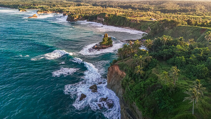 Scenic seascape with lush palm forest, turquoise ocean, and rocky island, ideal for summer holiday...