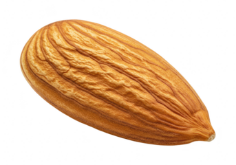 A single almond with its textured skin isolated on a transparent background
