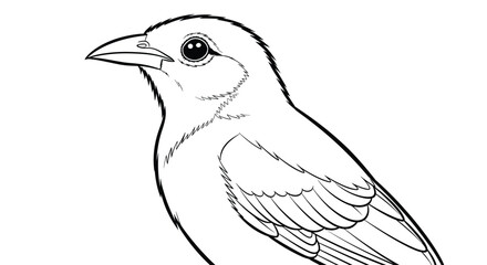 Obraz premium Detailed Alert Mynah Bird Profile Coloring Page Design for Mindful Adult Engagement