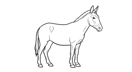 Obraz premium Detailed Asian Mule Standing Still Coloring Page for Adults and Equine Art Enthusiasts