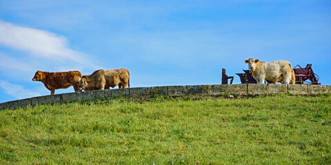 Foto panorámica de Es Mercadal Menorca situado a los pies de Monte Toro en el centro de la isla,...