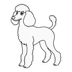 poodle dog line vector illustration isolated on white background ai generated