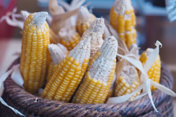 Basket of Dried Corn: Rustic Harvest and Traditional Preservation.
