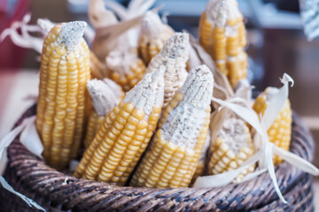 Golden Corn Cobs: Abundant Harvest in a Woven Basket.