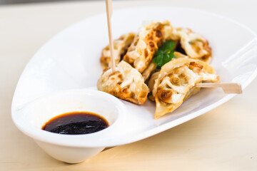 Crispy Golden Gyoza: A Delicious Pan-Fried Dumpling Delight