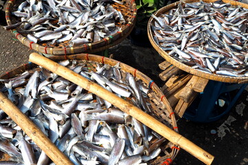 Baskets of small fish drying under the sun