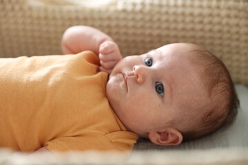 Cute newborn baby in bassinet, closeup view