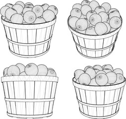 vector illustration of apple fruit food design in small fruit bowl for dessert