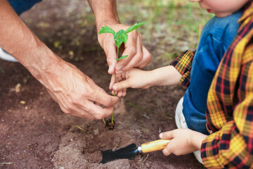 Father and his son planting tree into soil outdoors, closeup