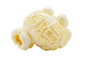A single piece of popcorn, isolated on a transparent background