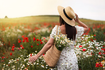 Woman in hat with bag of chamomile flowers in wildflower meadow, back view
