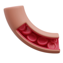 Blood Vessel 3D icon