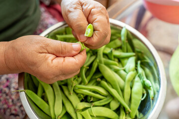 Elderly woman preparing fresh green beans in a kitchen bowl