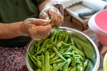 Elderly woman preparing fresh green beans in a kitchen bowl