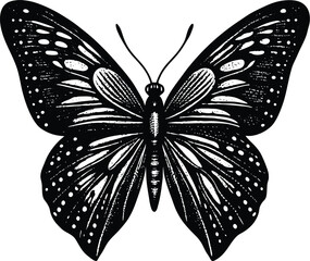 A detailed black and white illustration of a beautiful butterfly with intricate wing patterns and delicate antennae