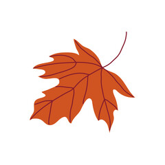 Orange maple leaf with vein pattern and stem in the wind. Hand drawn vector illustration for autumn designs.