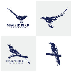 Set of Magpie Bird logo design vector. Silhouette Magpie Bird Template Illustration