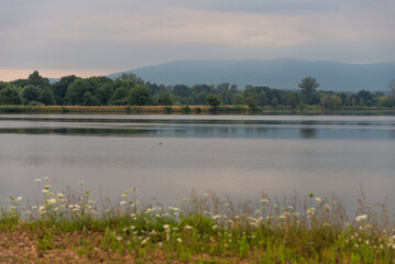 Goczałkowice zdrój, widok na staw Maciek, Śląsk Polska.