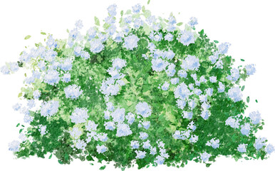 Watercolor Green Shrub with light blue Flowers