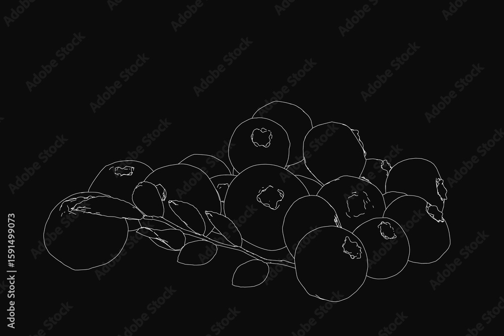 Poster blackberries arranged in a line art style stand out against a dark background, creating a striking c
