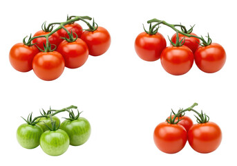 A collage of tomato bunches, featuring ripe red and unripe green cherry tomatoes on the vine, isolated on a transparent background