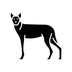 Indian wolf black flat icon for digital and print projects.