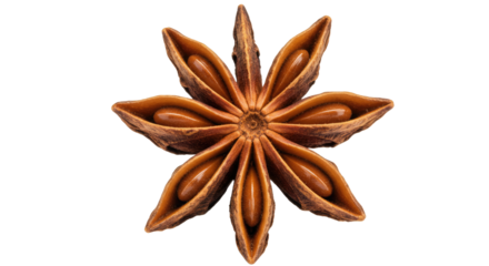 Close Up of Star Anise Spice.