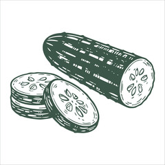 Hand drawn cucumber slices and whole vegetable illustration in vintage style