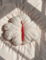 Toothbrush on fluffy cream pillow in a soft light, minimalist concept, copy space