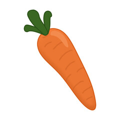 carrot vector illustration