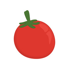 tomato vector illustration on white background