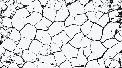 Cracked Land Background Black and White Vector