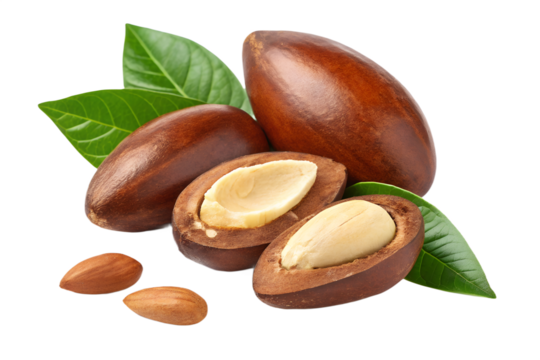 Baru nuts PNG, transparent isolated background. Healthy superfood nut snack. Nutritious, natural, organic food, flavour, cooking ingredient, vitamin mineral source